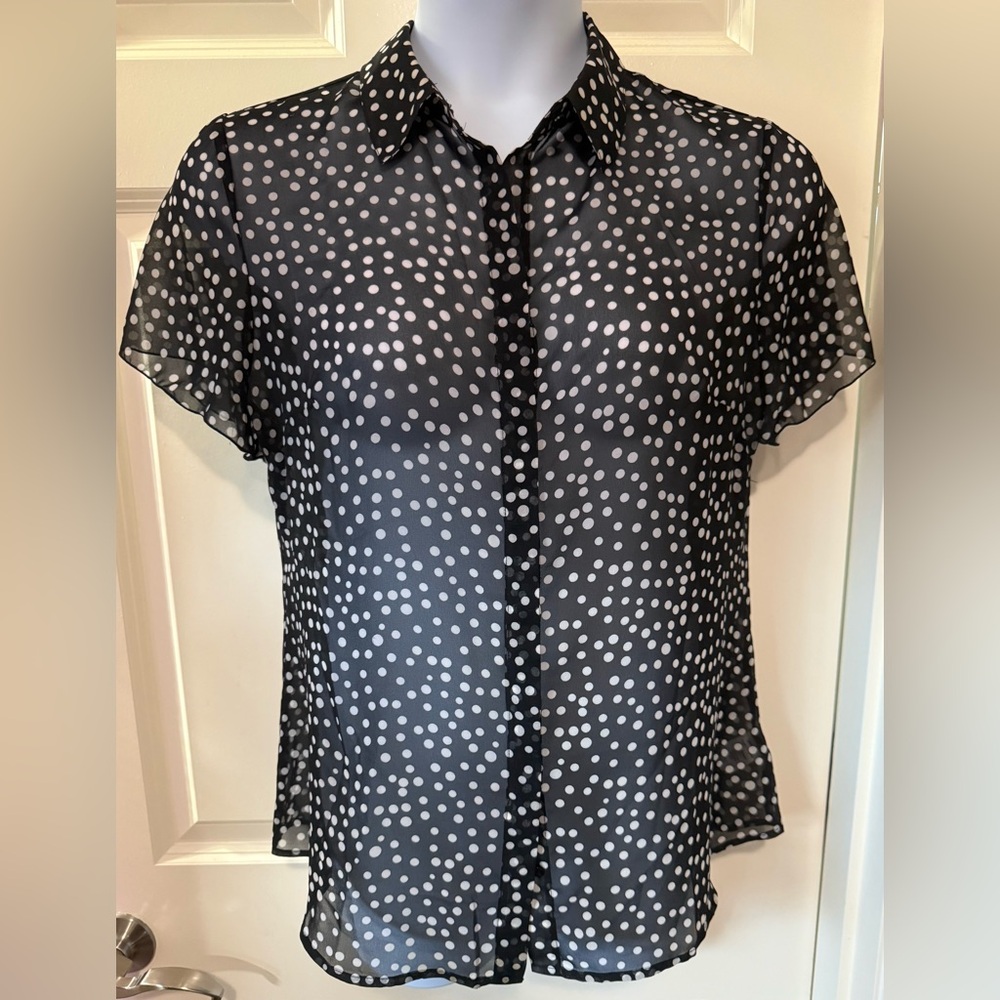 Coldwater Creek Sheer Black Buttoned Blouse with Notched Collar